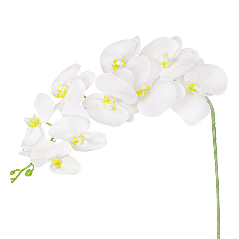 Tige de fleur d'orchidée artificielle, Blanc