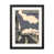 Black Framed