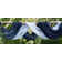 Performance 100% Polyester Fabric