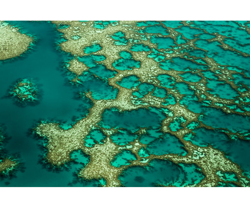 Wrapped Canvas Print, 76.2 cm H x 50.8 cm W
