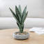 30cm Faux Snake Plant (Sansevieria) Plant in Concrete Planter