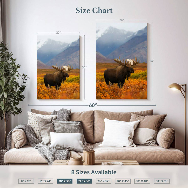 Brampt Moose In Pasture, 36" H x 24" W