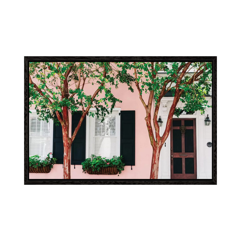 Charleston Pink XV by Bethany Young - Print on Canvas, Black Framed, 66.04cm H x 101.6cm W x 3.81cm D