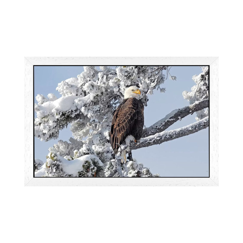 Winter Eagle by Brian Wolf - Floater Frame Print on Canvas, White