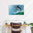 Brampt Leaping Marlin-108909122
