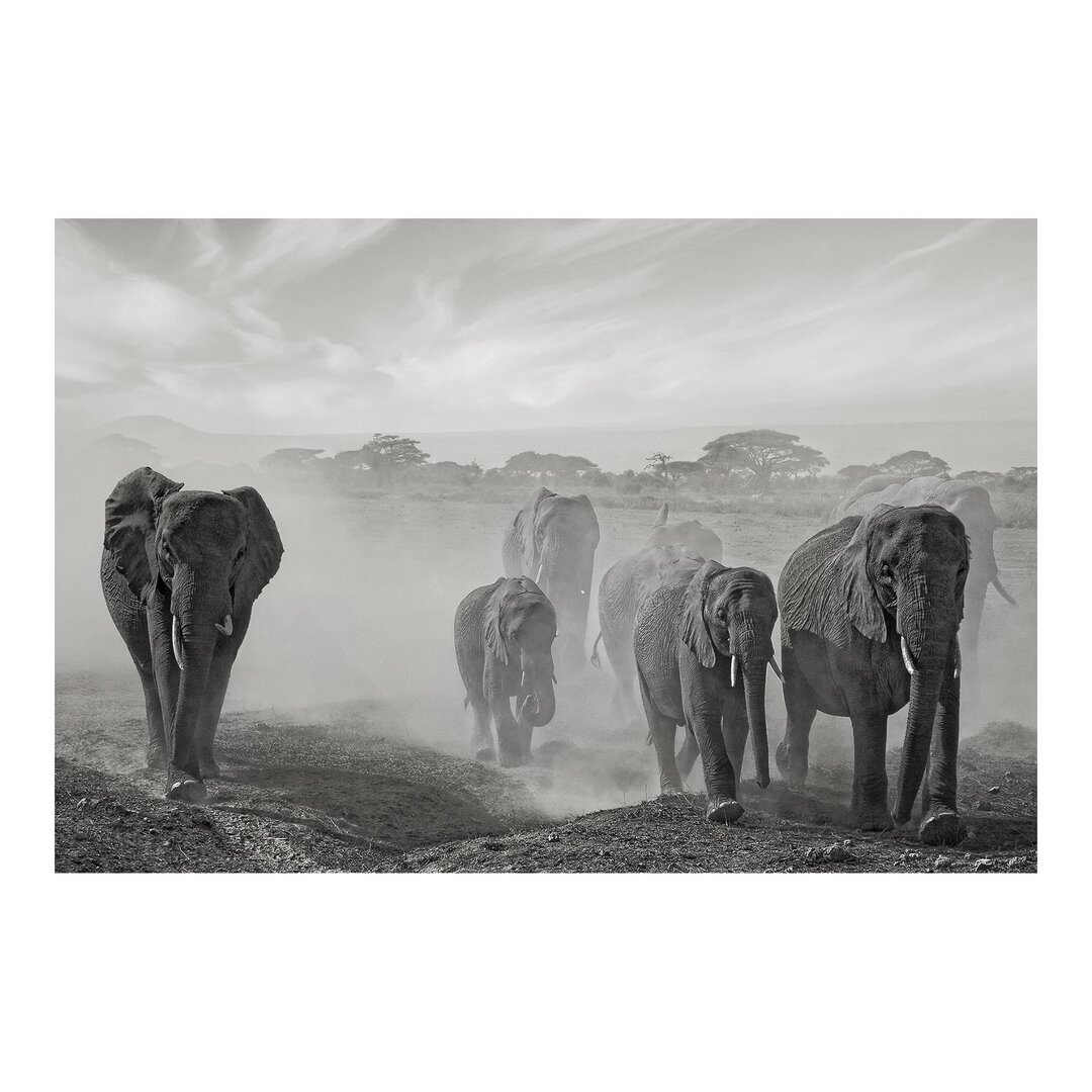 Strukturierte Tapete Herd of Elephants 2,25 m x 384 cm