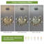 3 - Light Dimmable Glass Globe Chandelier