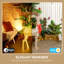 Christmas Decoration