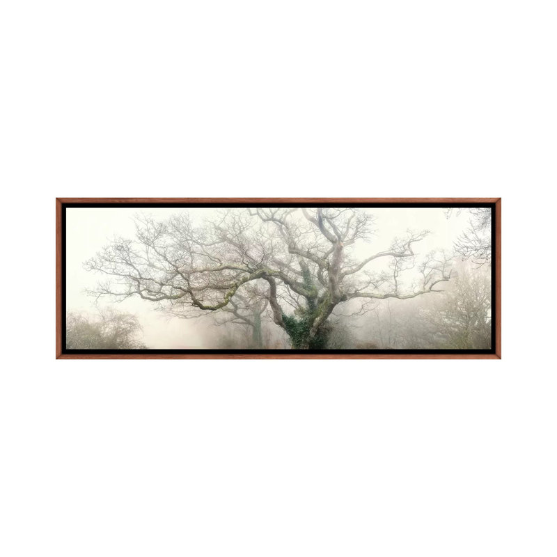 « Ghost Oak » par Philippe Manguin-reproduction de photo panoramique sur toile, H 20 po x l 60 po x P 1,5 po