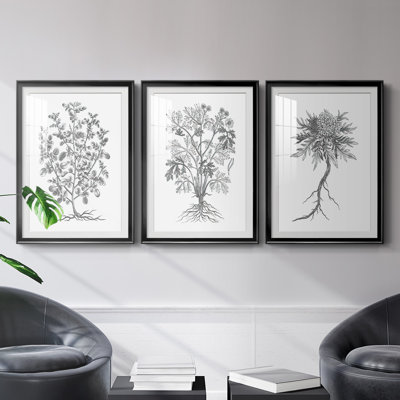 " B&W Plant Specimen I " 3 - Pieces