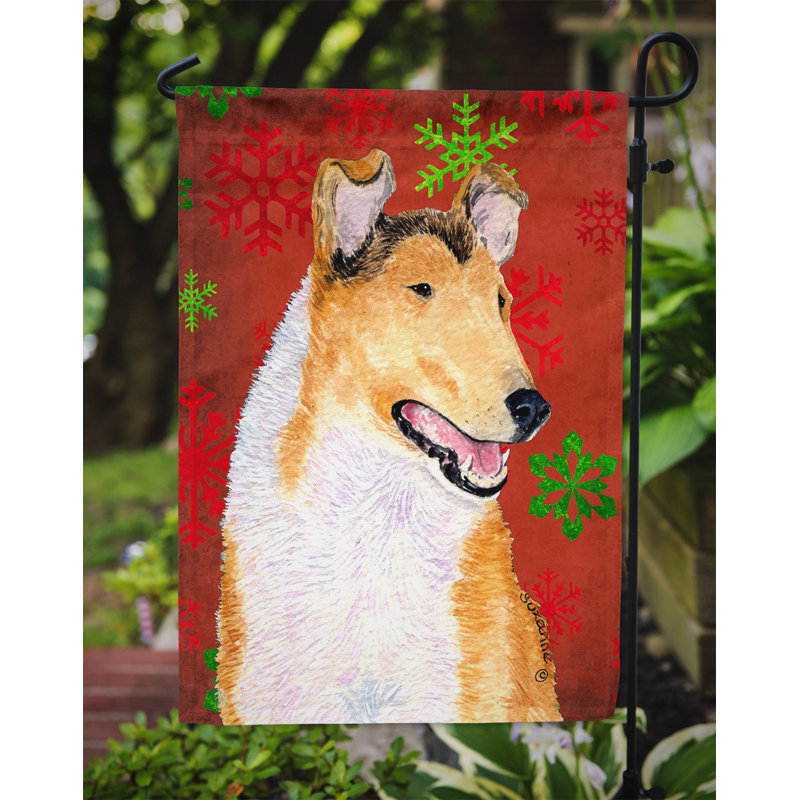 Drapeau rouge et vert Vart, Collie à poil court