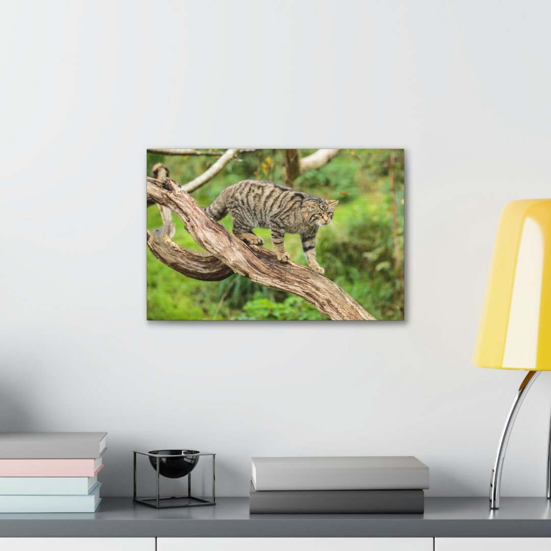 No Frame Print on Canvas