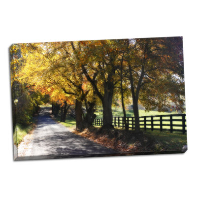 Country Road I by Alan Hausenflock - Wrapped Canvas Photograph