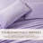 Ultra Soft Micro Plush Velvet Solid Sheet Sets-103699426-103699422
