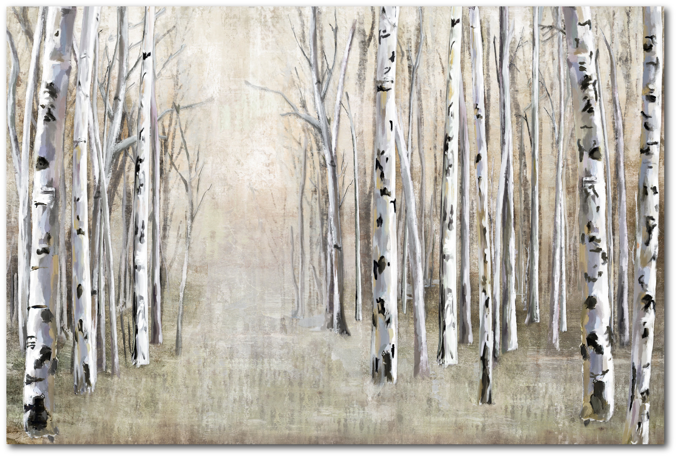 Millwood Pines Birch Tree Path - Unframed Graphic Art on Canvas | Wayfair