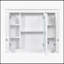 Armoire de salle de bain murale polyvalente avec plusieurs tablettes et un design élégant