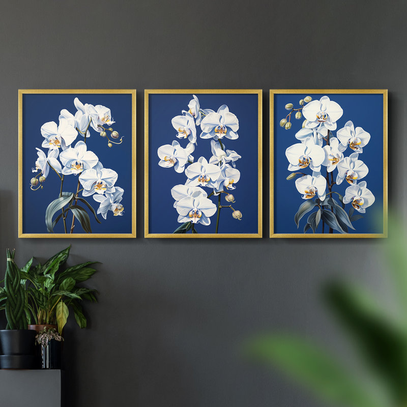 Floral Study Series LVI -Set de 3 estampes numériques giclées -Prêt à accrocher, Doré, H 28 po x l 66 po