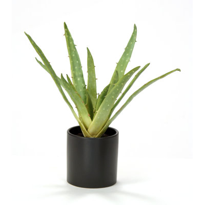18'' Faux Succulent Plant in Ceramic Pot