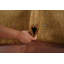 Little Animals Design Gabbeh Oriental Rug 4x6