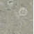 Gris / Charbon