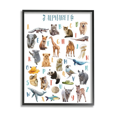 Kid's Playful Animal Alphabet - impression