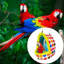 Nid pour animal de compagnie