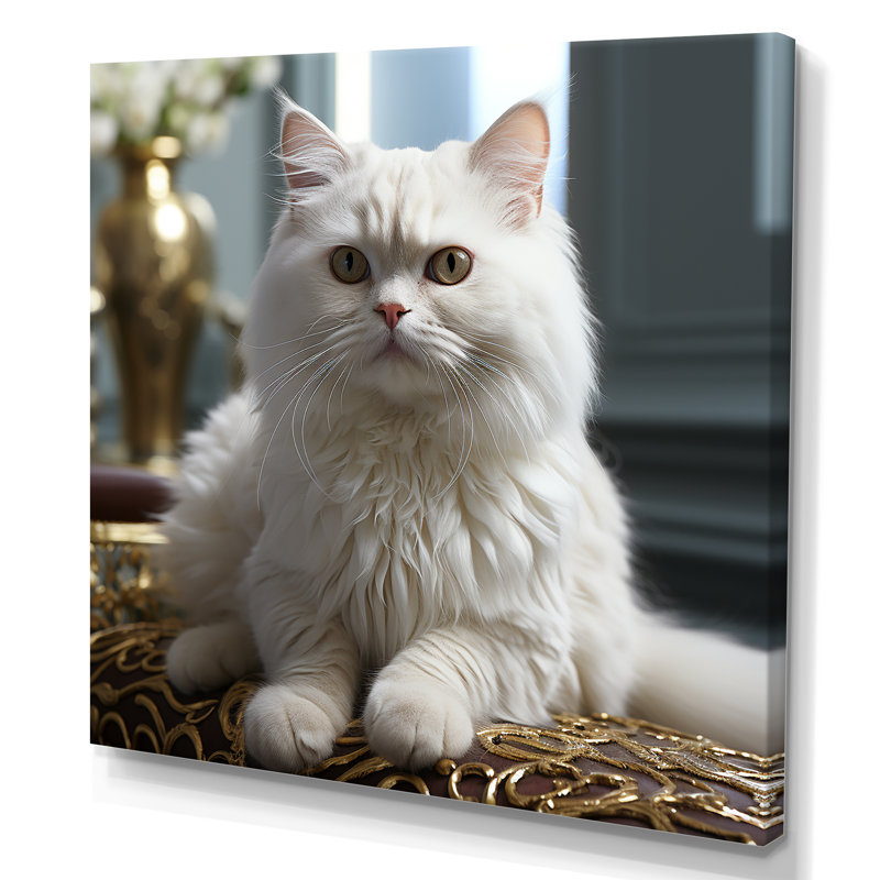 Exotic Shorthair Elegance Cat - impressions sur toile de chat, Toile tendue, H 16 po x l 16 po x P 1 po