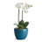 Blue Ceramic Pot Planter-111554701