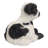 Baby Lamb Lying Down-50844491