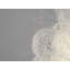 Blum 1 - Light Flush Mounted Sconce
