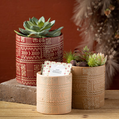 Jalyn Ceramic Pot Planter