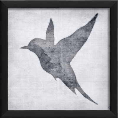 Bird Modern & Contemporary