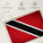 Borges Trinidad And Tobago National Flag-108136106