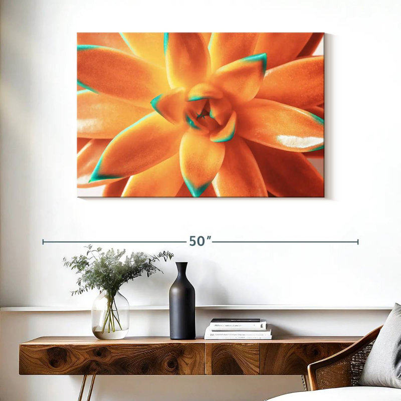 Plante grasse orange Harnek, H 26 po x l 39 po