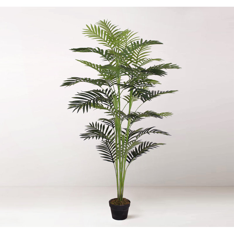 Faux Palm Plant in Pot, 150"H x 50"W