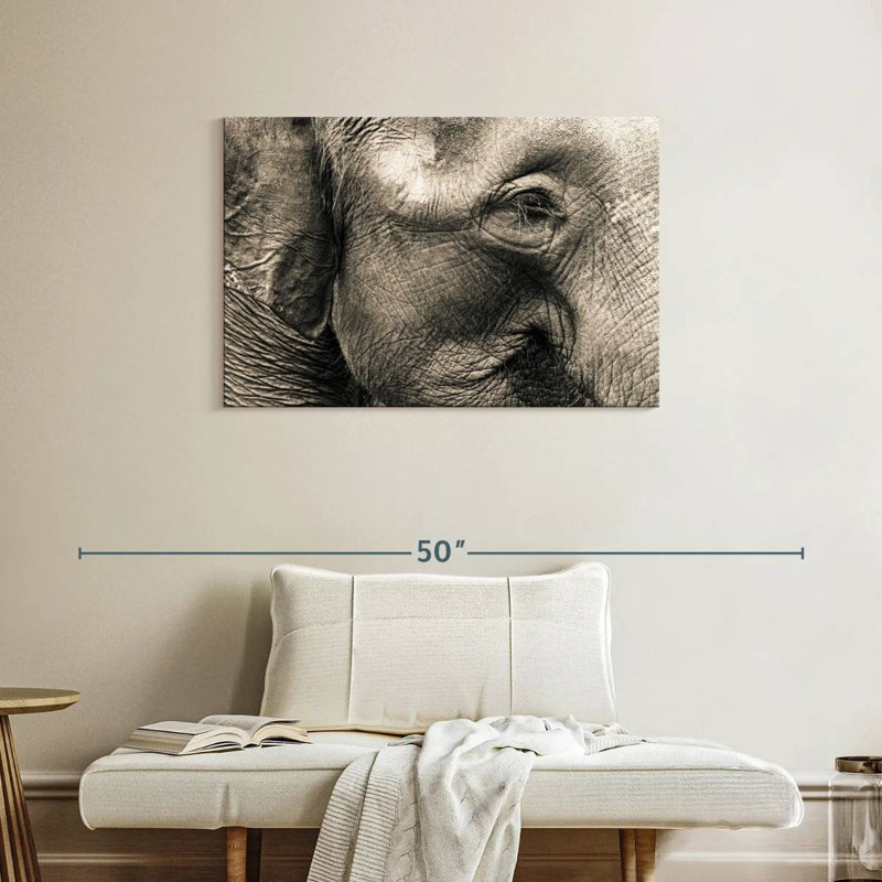 Brampt Wrinkled Elephant Face, 24" H x 36" W