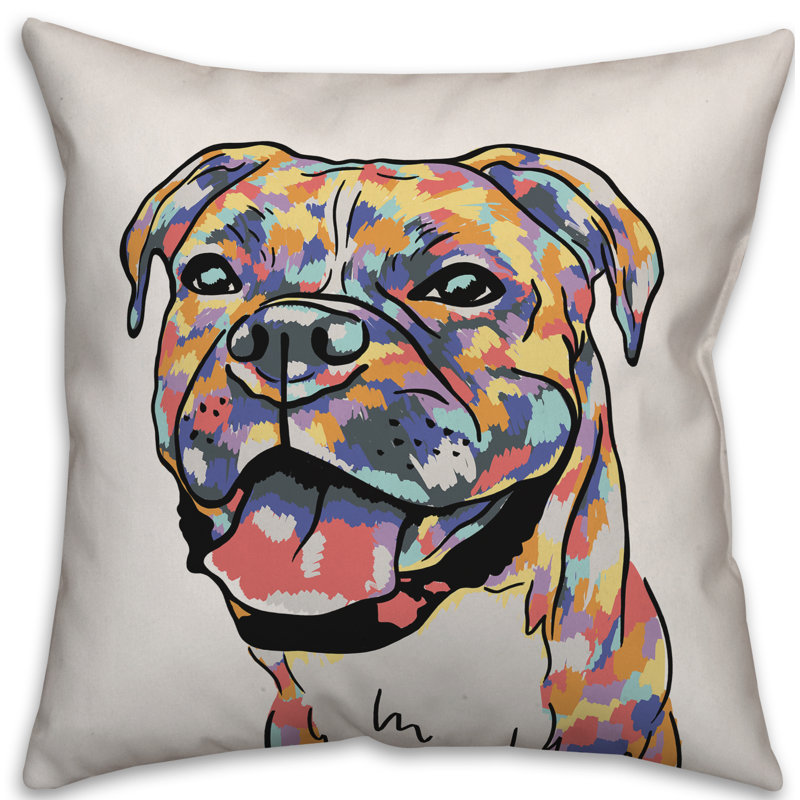 Coussin Boxer, 20 po x 20 po, Pas de bourre