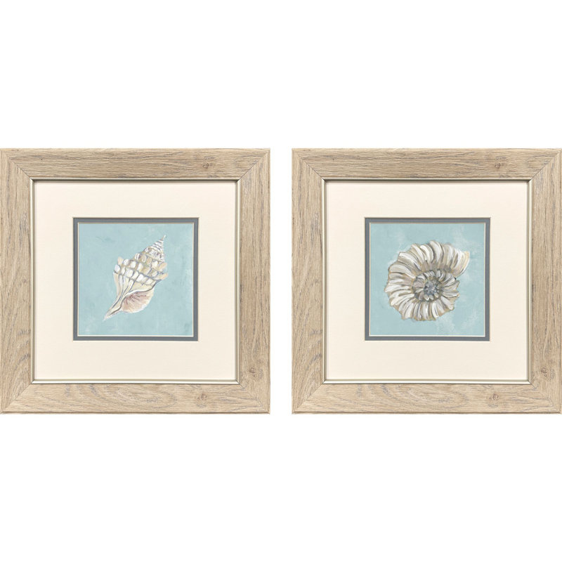 Seashells Framed Art