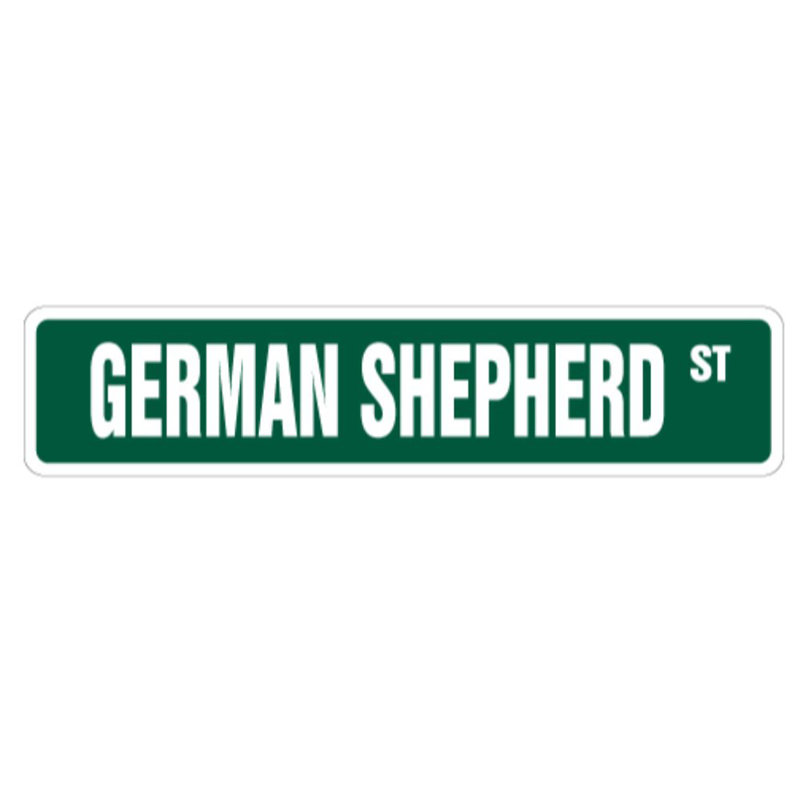 Grand animal de compagnie Sherpherd allemand