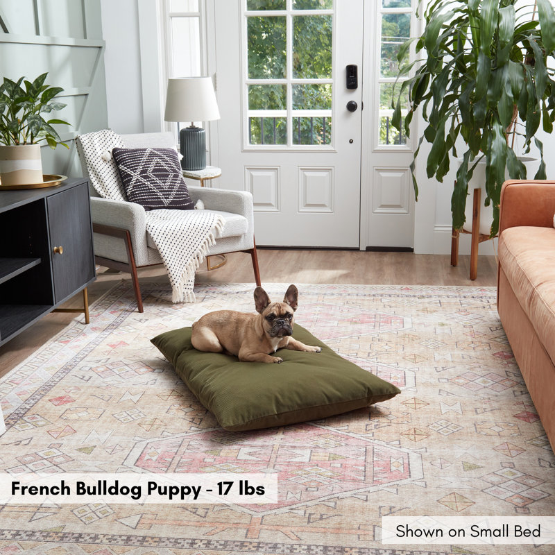 Lit pour chien en velours côtelé Gladmir, H 4 po x l 36 po x P 24 po, Vert