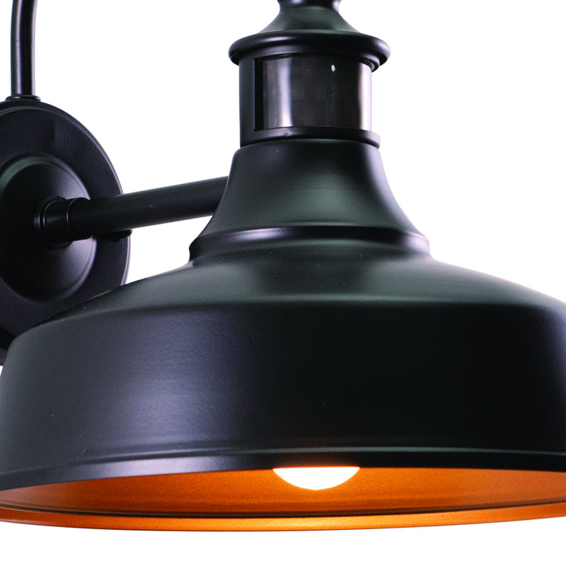 Gunnora Steel Wall Light, 12.25" H x 12" W x 13.5" D, Dark Bronze/Light Gold