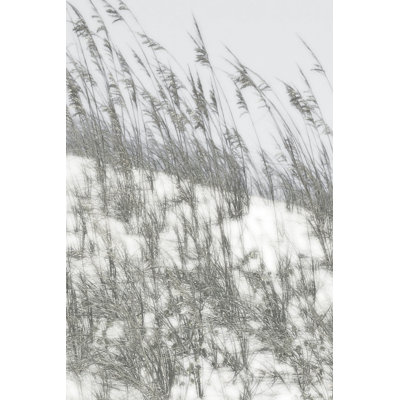 Lush Dunes III by Sharon Chandler - Wrapped Canvas Print