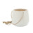 Rosaria Ceramic Hanging Planter-1340959066-1290618981