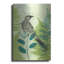 " Wattlebird Hiding In The Fernery " by Trudy Rice-1648429910