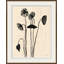Lotus Pods Painting by Susan Hable