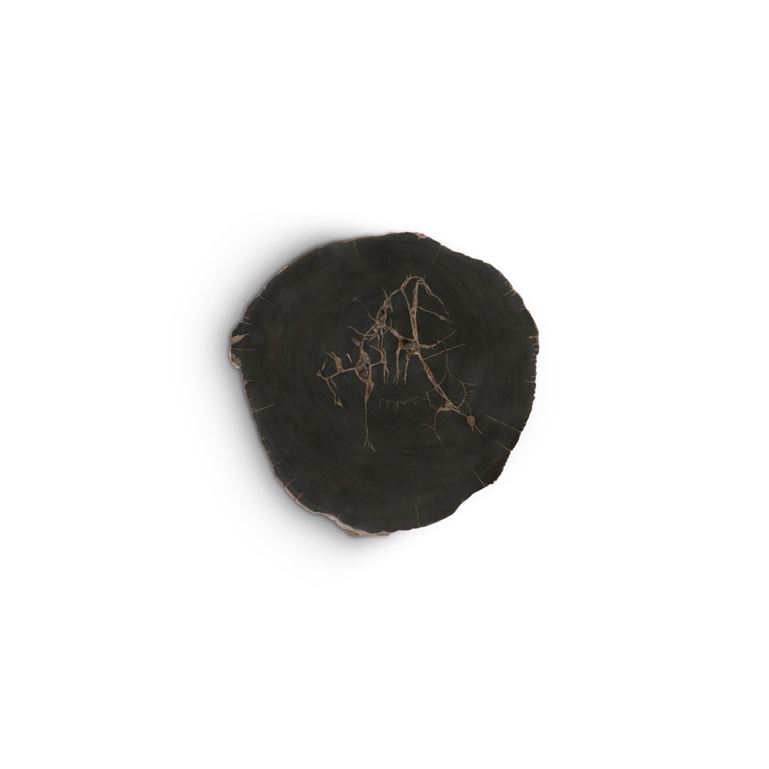 Cast Naturals Petrified Wood Wall Décor Phillips Collection