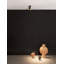 Deshanda LED Spotlight