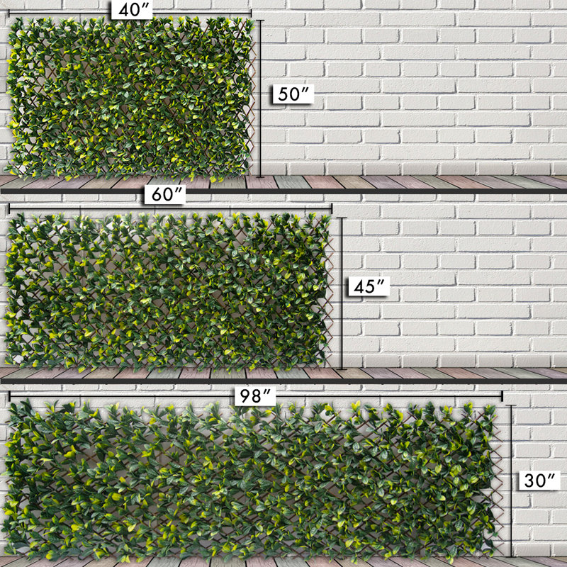 30'' H x 98'' W Polyethylene Plastic