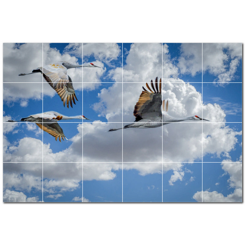 Photo d'oiseau 8 x 8