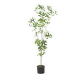 47.2'' Artificial Pieris Tree in Planter